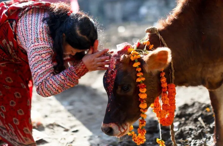 यमपञ्चक अर्थात् तिहारको तेस्रो दिन आज गाईको पूजाआजा गरी मनाइँदै