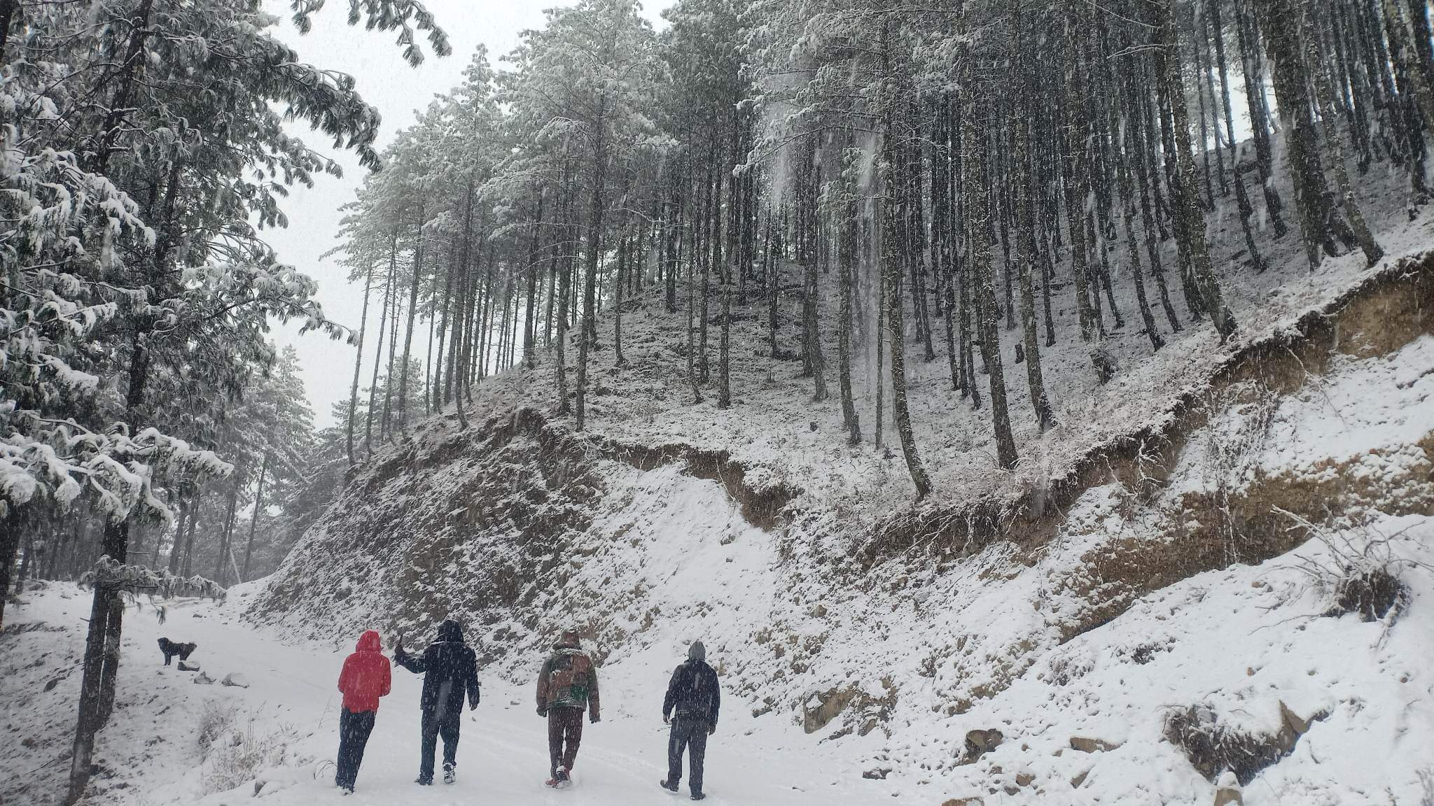 मुगुमा हिमपात,तापक्रम माइनस ६ डिग्री