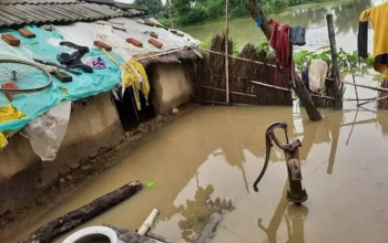 कैलालीका बाढीपिडीत भन्छन् -'बाढीको दीर्घकालीन समाधान गर्ने नेतालाई भोट'