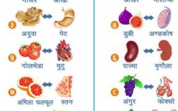 शरीरका अंङ्ग जस्तै देखिने यी खानेकुरा ती अंङ्गका लागि अत्यन्त लाभदायक