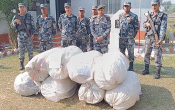 सप्तरीबाट २४० किलो लागूऔषध बरामद