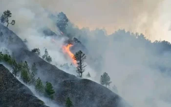 डोल्पा डढेलोमा घाइते बालकको मृत्यु