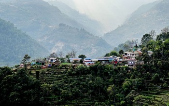 गाजने गाउँ साकाहारी गाउँका रूपमा चिनिन थालेको