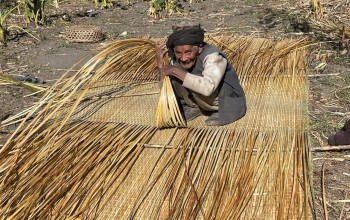 बुढ्यौलीलाई जितेका १०५ वर्षीय पुर्जा भन्छन्- उमेर ढल्के पनि अझ धेरै बाँचुम्बाँचुम् लाग्दो रै’छ