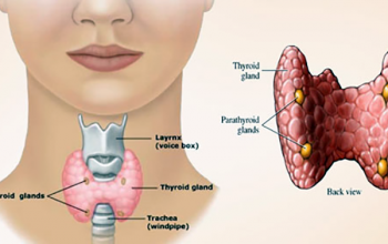 थाइराइड क्यान्सरबारे जानकार बनौं 