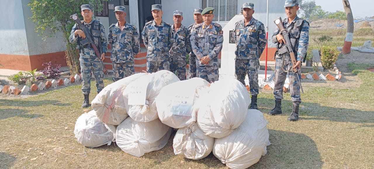 सप्तरीबाट २४० किलो लागूऔषध बरामद