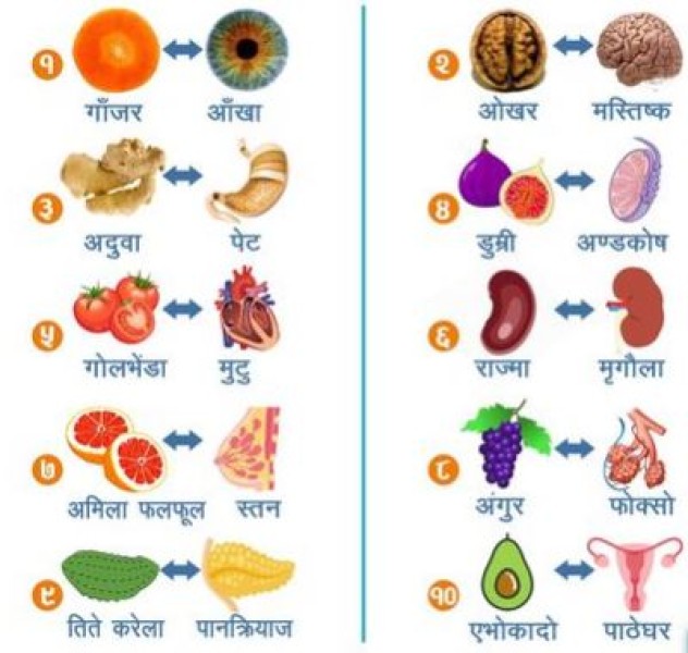 शरीरका अंङ्ग जस्तै देखिने यी खानेकुरा ती अंङ्गका लागि अत्यन्त लाभदायक