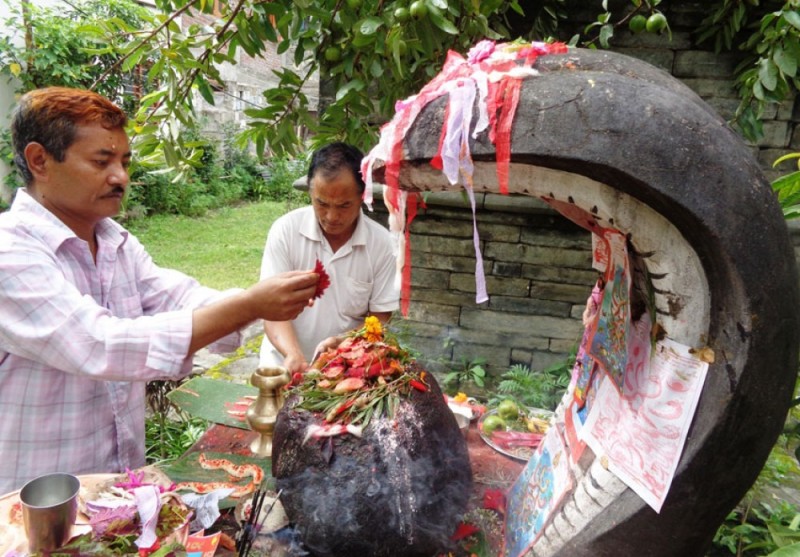 आज नागपञ्चमी पर्व नागको पूजा, आराधना गरी नागपञ्चमी पर्व मनाइँदै