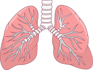 फोक्सोलाई सफा राख्ने केही टिप्स 