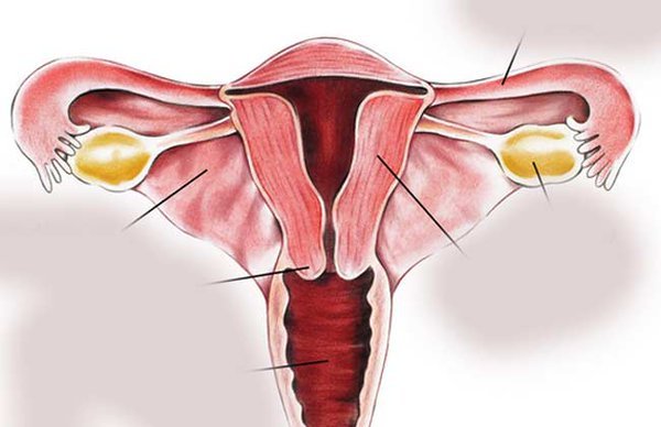 किन खस्छ पाठेघर ? लक्षण र रोकथाम