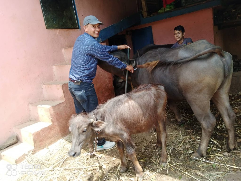 बैतडीमा खोरेत रोगको संक्रमण फैलियो